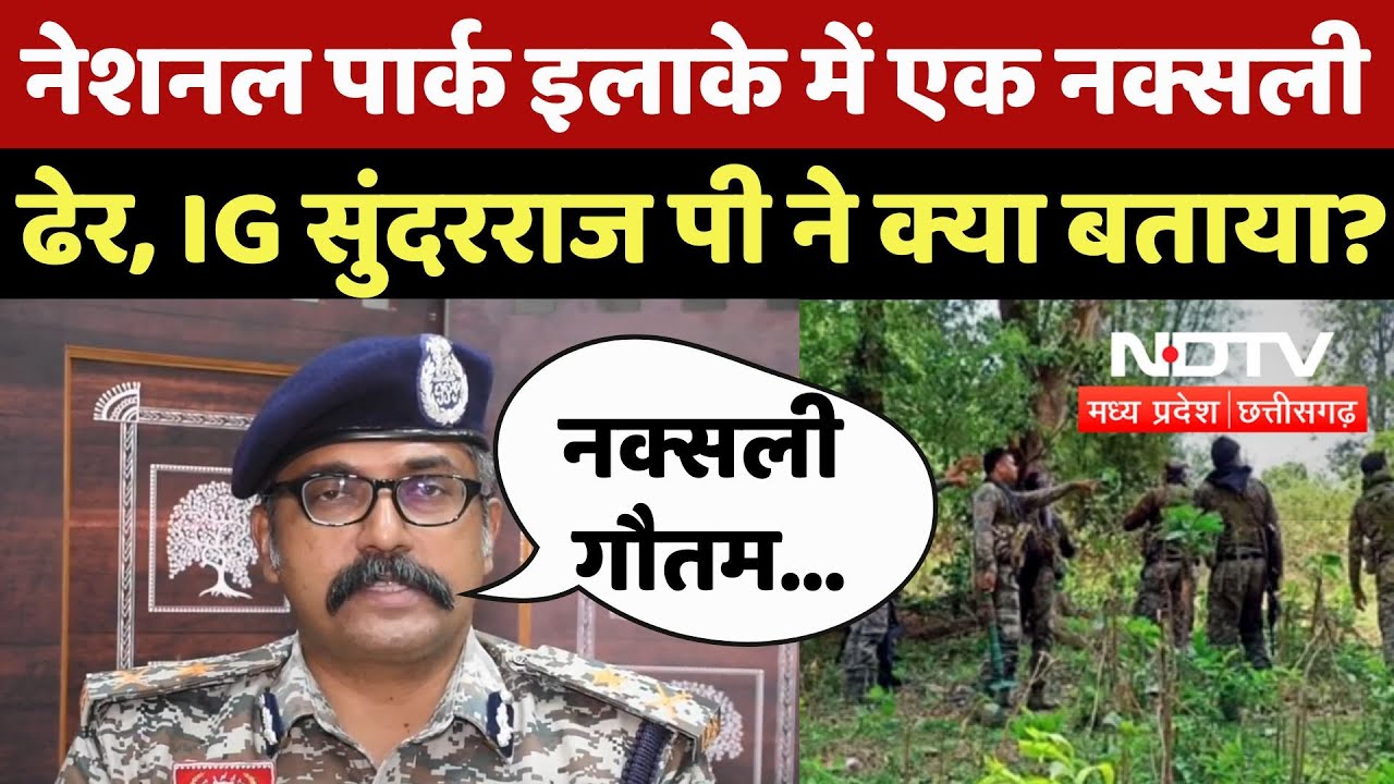 Bijapur Naxal Encounter: नेशनल पार्क इलाके में एक नक्सली  ढेर, IG सुंदरराज पी ने क्या बताया? Naxal
