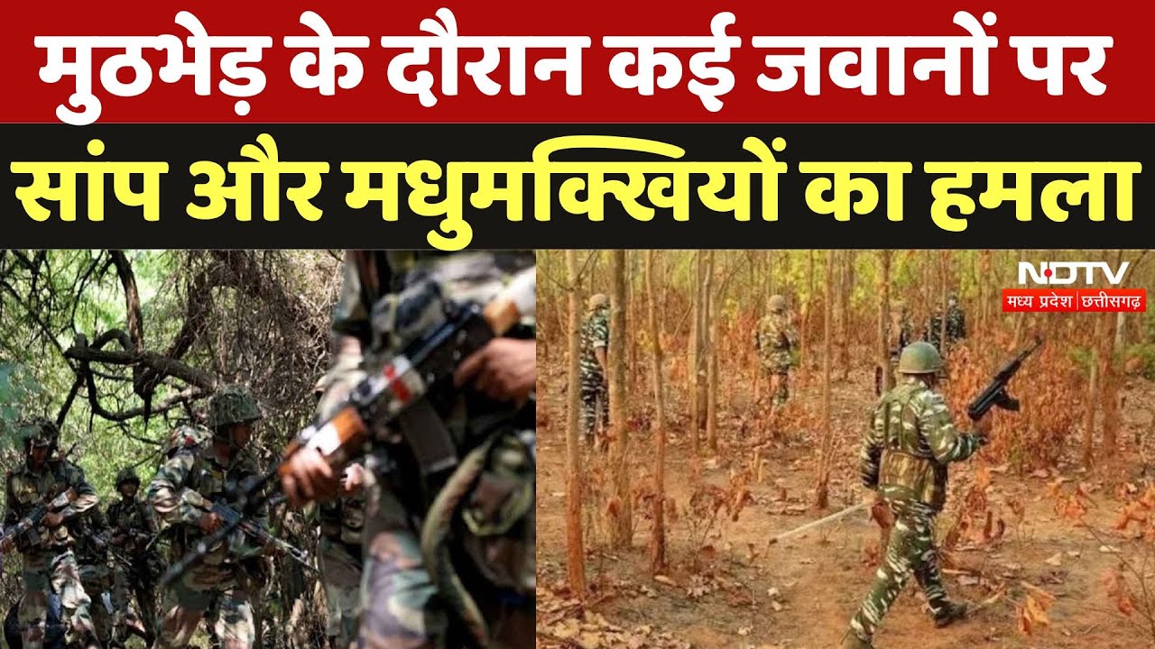 Naxal Encounter in Bijapur: Sudhakar, Bhaskar के बाद 2 Naxali और ढेर, जवानों पर Bees Attack |CG News