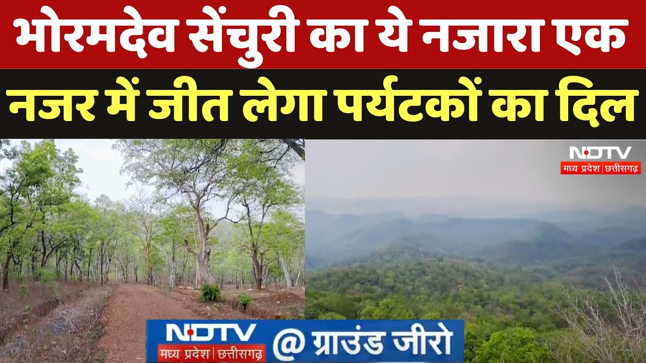 Kawardha: Bhoramdev Sanctuary में क्या-क्या खास? | Jungle Safari | Tourism | Ground Report | CG News