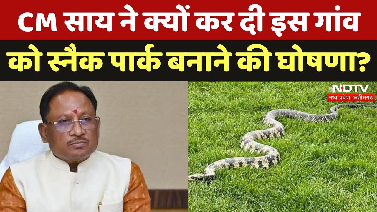 Chhattisgarh के इस गांव को Naaglok के नाम से क्यों जाना जाता है? | Snake Park | CM Sai | NDTV MPCG Chhattisgarh के इस गांव को Naaglok के नाम से क्यों जाना जाता है? | Snake Park | CM Sai | NDTV MPCG