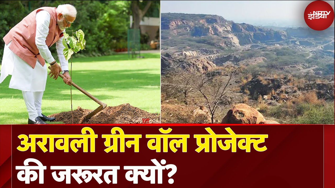 Aravali Green Wall Project: 4 राज्य में फैली पर्वत श्रृंखला को बचाना बेहद जरूरी | Save Enviornment