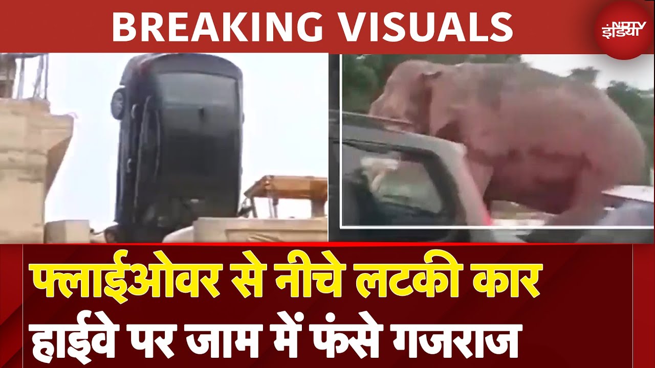 Breaking Visuals: Google Maps ने फिर दिया धोखा, फ्लाईओवर से नीचे गिरी कार | जाम में फंसा हाथी
