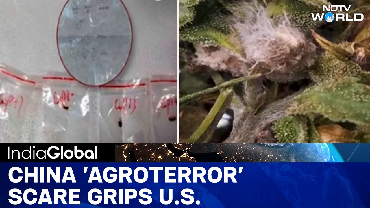 China Agroterror: Another Chinese Scientist Arrested At US Airport