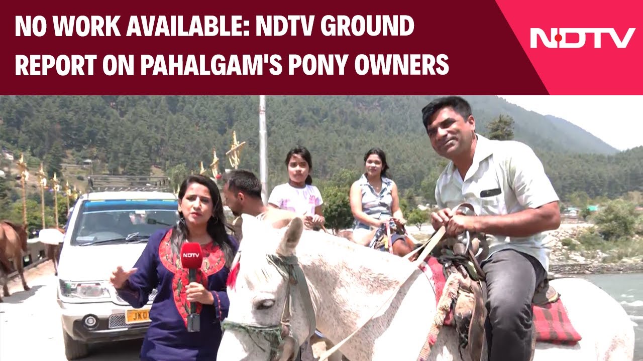 Video: Kashmir News | NDTV Ground Report On Pahalgam's Pony Owners