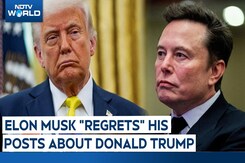 Elon Musk On Trump | "Went Too Far": Elon Musk Says He "Regrets" His Posts About Donald Trump Elon Musk On Trump | "Went Too Far": Elon Musk Says He "Regrets" His Posts About Donald Trump