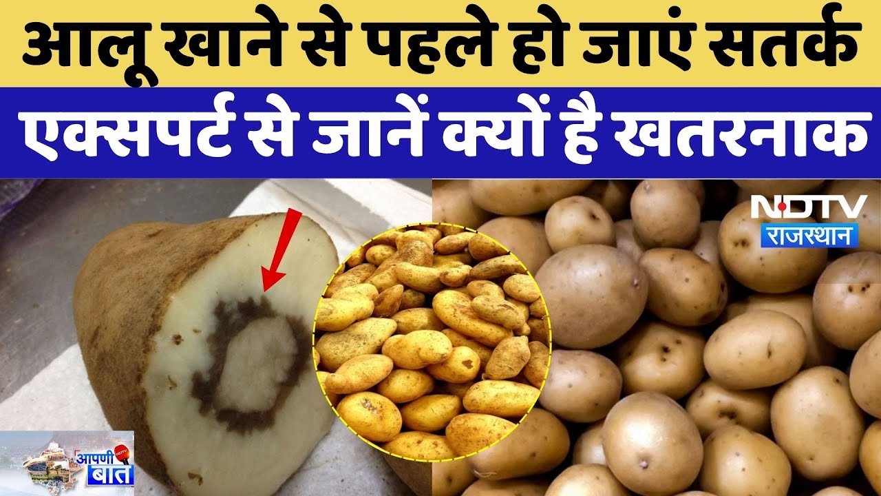 Rajasthan Harmful Potatoes: आलू खाने से पहले हो जाएं सतर्क, जानें Experts ने क्यों बतया खतरा? Latest