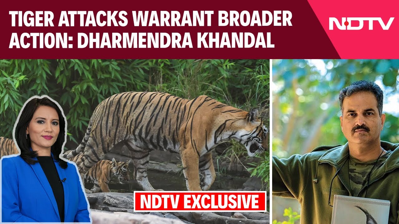Video : Ranthambore Tiger Reserve | Three Killed In Tiger Attacks At Ranthambore In Less Than Two Months