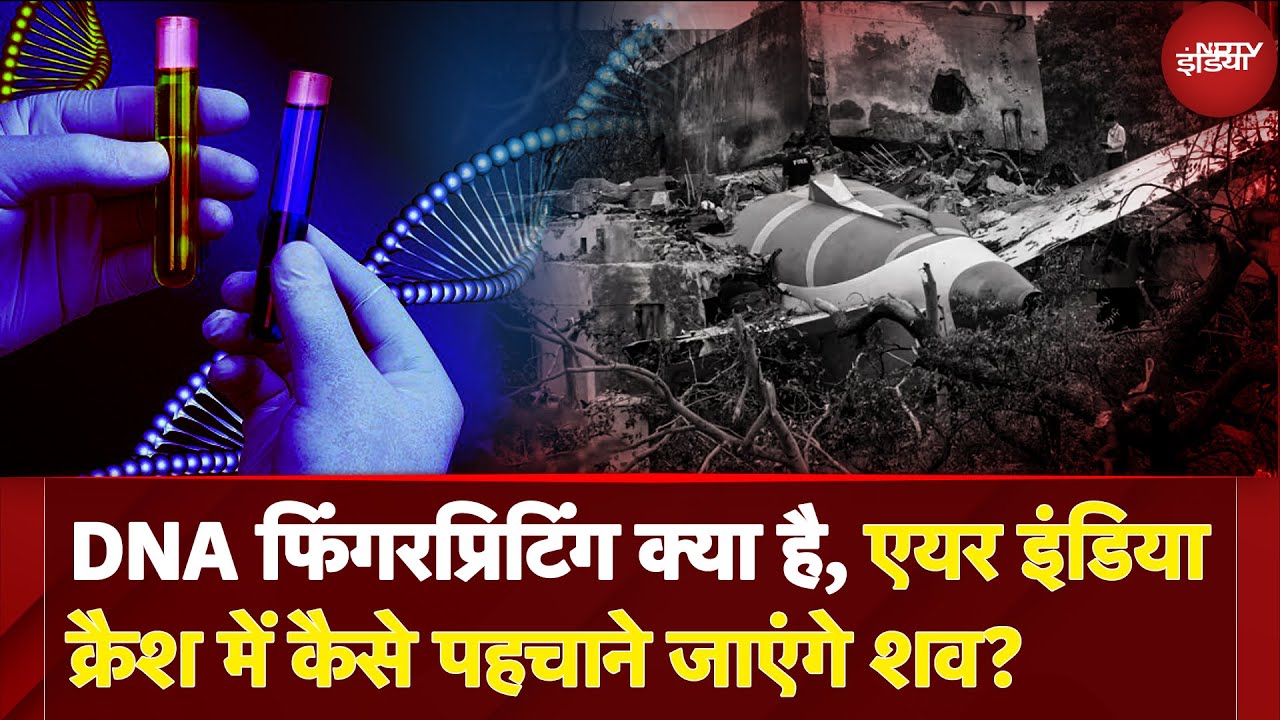 Air India Plane Crash के शव DNA Fingerprinting से कैसे पहचाने जाएंगे? Expert से जानें कैसे होगी जांच