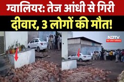 Gwalior News: तेज आंधी से गिरी दीवार, 3 लोगों की दर्दनाक मौत! MP Top News | Latest News | Weather Gwalior News: तेज आंधी से गिरी दीवार, 3 लोगों की दर्दनाक मौत! MP Top News | Latest News | Weather