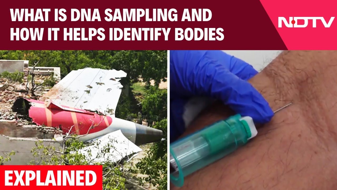 Explained: What Is DNA Sampling And How It Helps Identify Bodies
