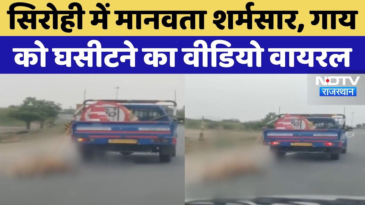 Sirohi में Cow को घसीटने का Video Viral, Latest News | Rajasthan | Latest News | Top News | NHAI