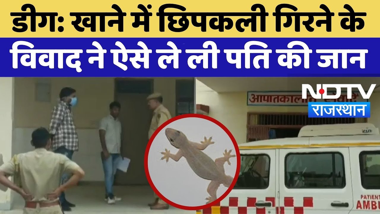 Deeg News : खाने में छिपकली, विवाद में पति की मौत | Lizard In Food | Domestic Dispute | Top News