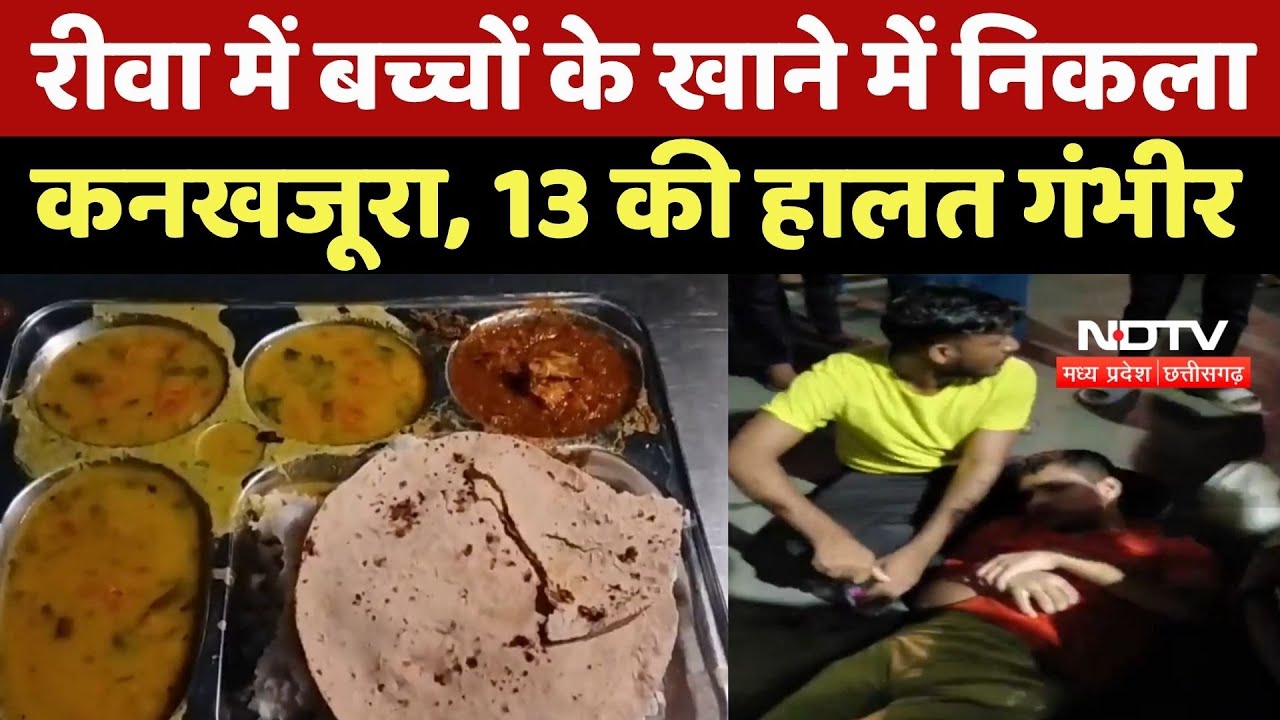 Rewa में बच्चों के खाने में निकला Kankhajura, 13 की हालत गंभीर, मामले की जांच जारी