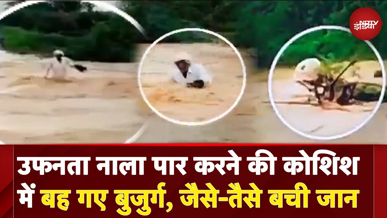 Bhavnagar Flood: उफनते जल सैलाब में बहे बुजुर्ग, बड़ी मुश्किलों से बची जान | Gujarat
