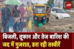 Gujarat Flood News: गुजरात में बारिश को लेकर IMD का बड़ा Alert |Weather Update | Monsoon | Heavy Rain Gujarat Flood News: गुजरात में बारिश को लेकर IMD का बड़ा Alert |Weather Update | Monsoon | Heavy Rain