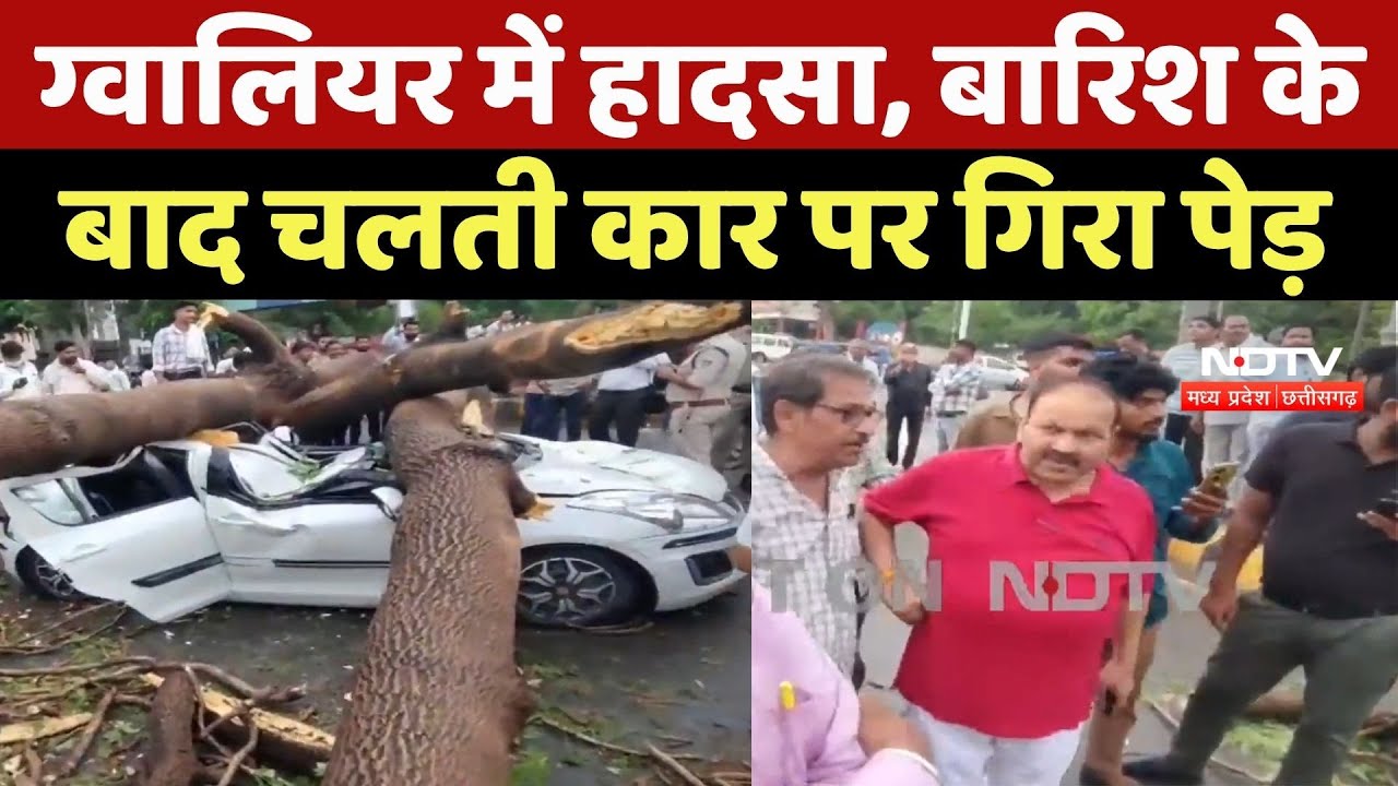 Heavy Rain Alert : Gwalior में हादसा, बारिश के बाद चलती कार पर गिरा पेड़