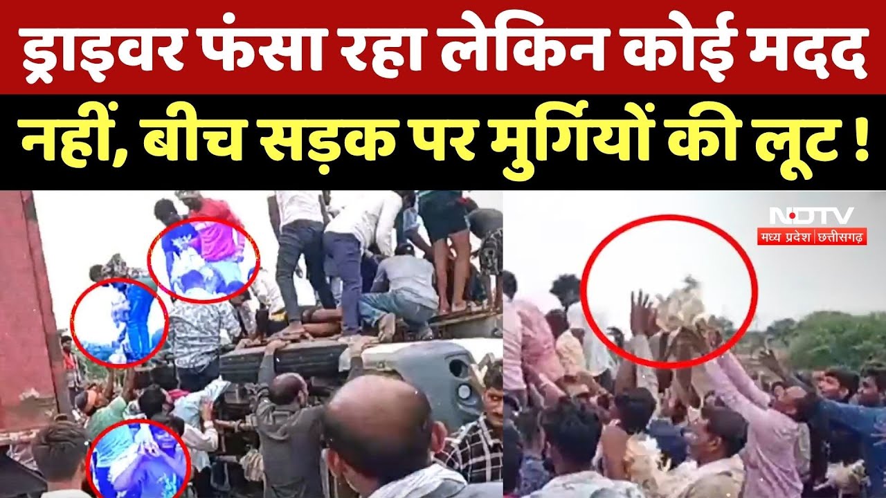 Bemetara News : Driver फंसा रहा लेकिन कोई मदद नहीं, बीच Road पर मुर्गियों की लूट !