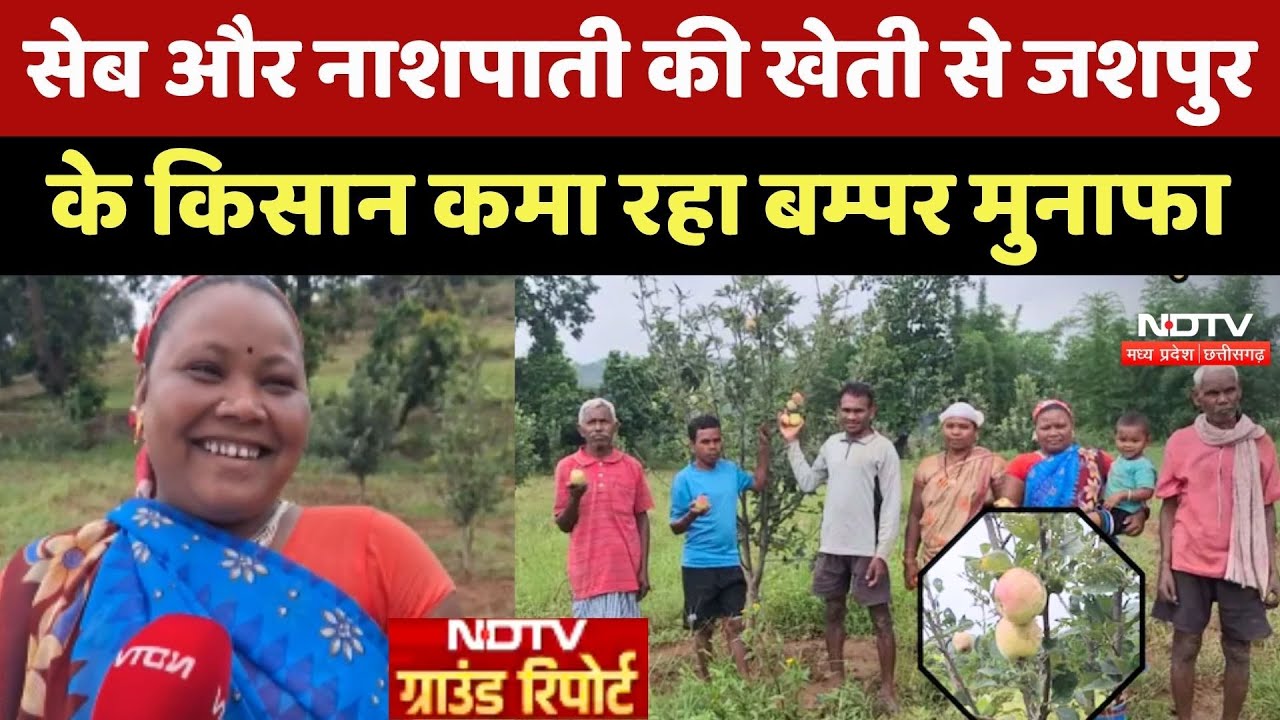 Apple Farming: सेब और Naspati की खेती से Jashpur के Farmers कमा रहा बम्पर मुनाफा
