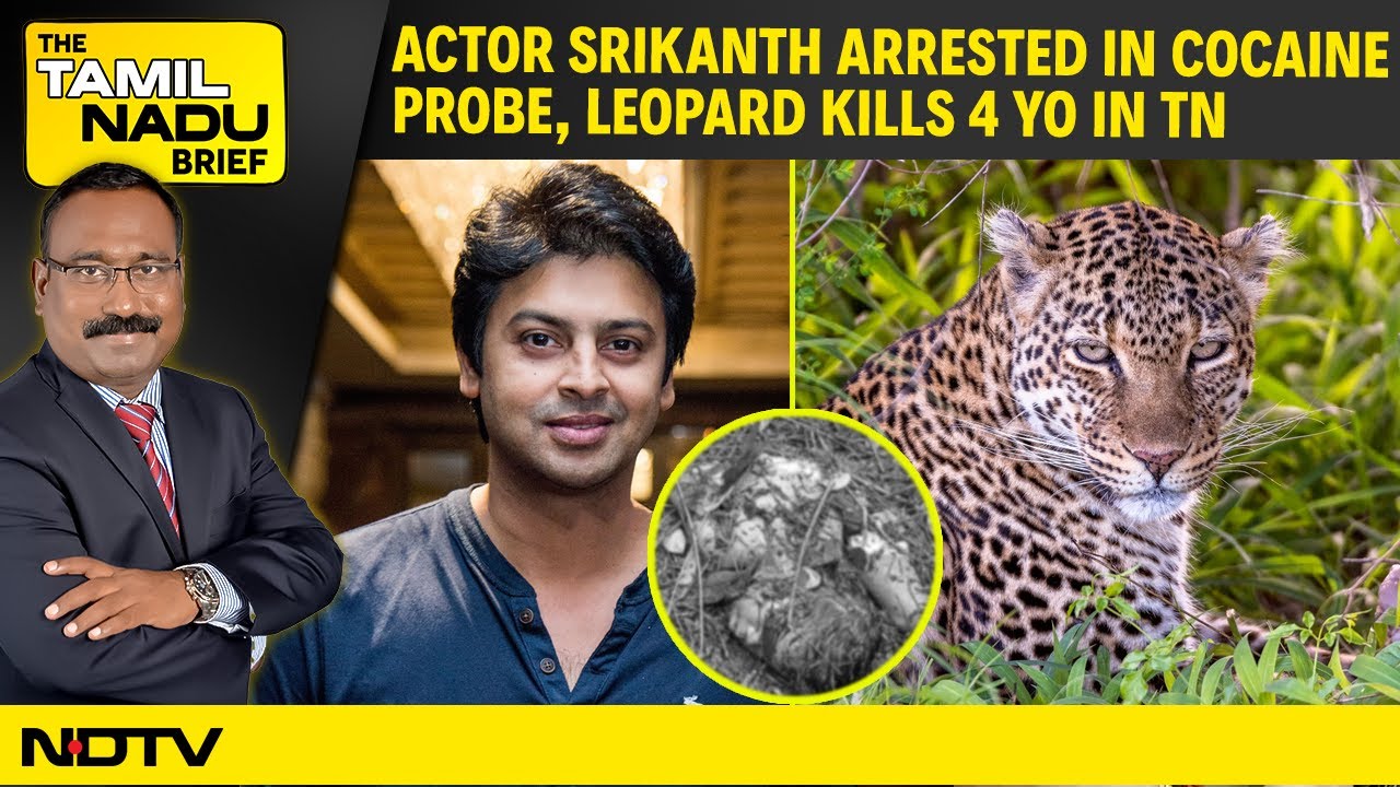 Video: Actor Srikanth Arrested in Cocaine Probe | AIADMK Embarrassed at Muruga Meet | Leopard Kills 4 YO