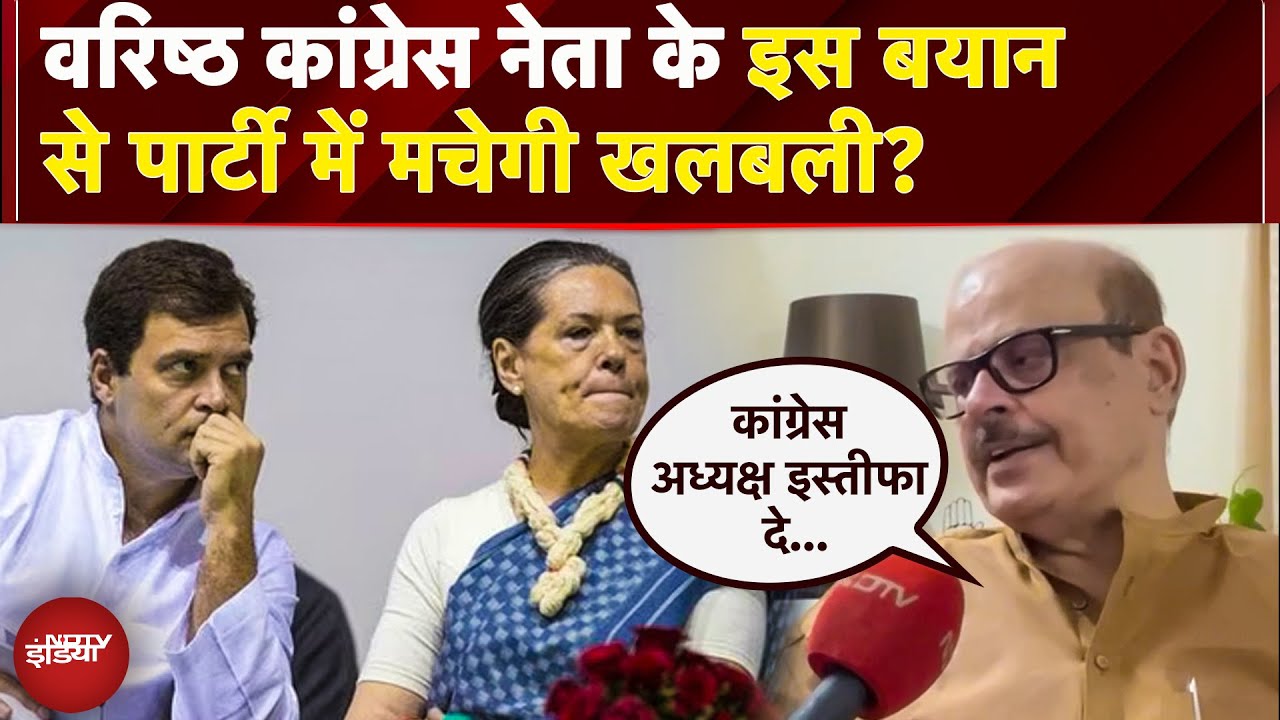 Gujarat By Election Result, Congress में इस्तीफे पर क्या बोले वरिष्ठ नेता Tariq Anwar | Rahul Gandhi