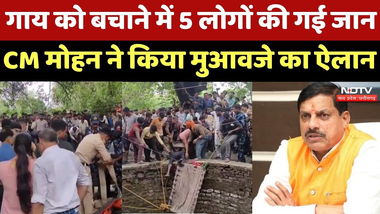 Guna News: गाय को बचाने में 5 लोगों की मौत, CM Mohan Yadav ने 4-4 लाख मुआवजे का किया ऐलान! MP News