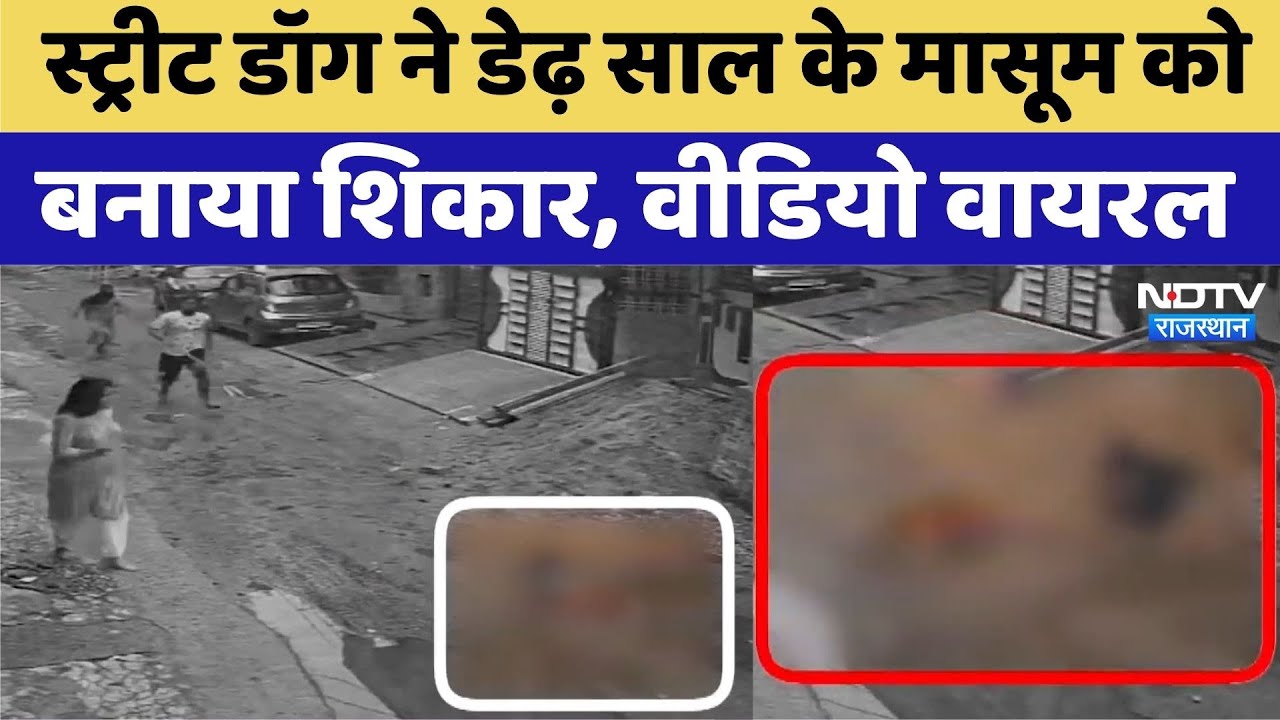 Kota News: Street Dog ने ढ़ेड़ साल के मासूम को बनाया शिकार, Video Viral | Latest News | Top News