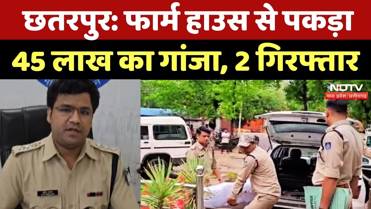 Raid In Chhatarpur Farm House: फार्म हाउस पर पड़ी RAID, 45 लाख रुपए का गांजा बरामद | MP News