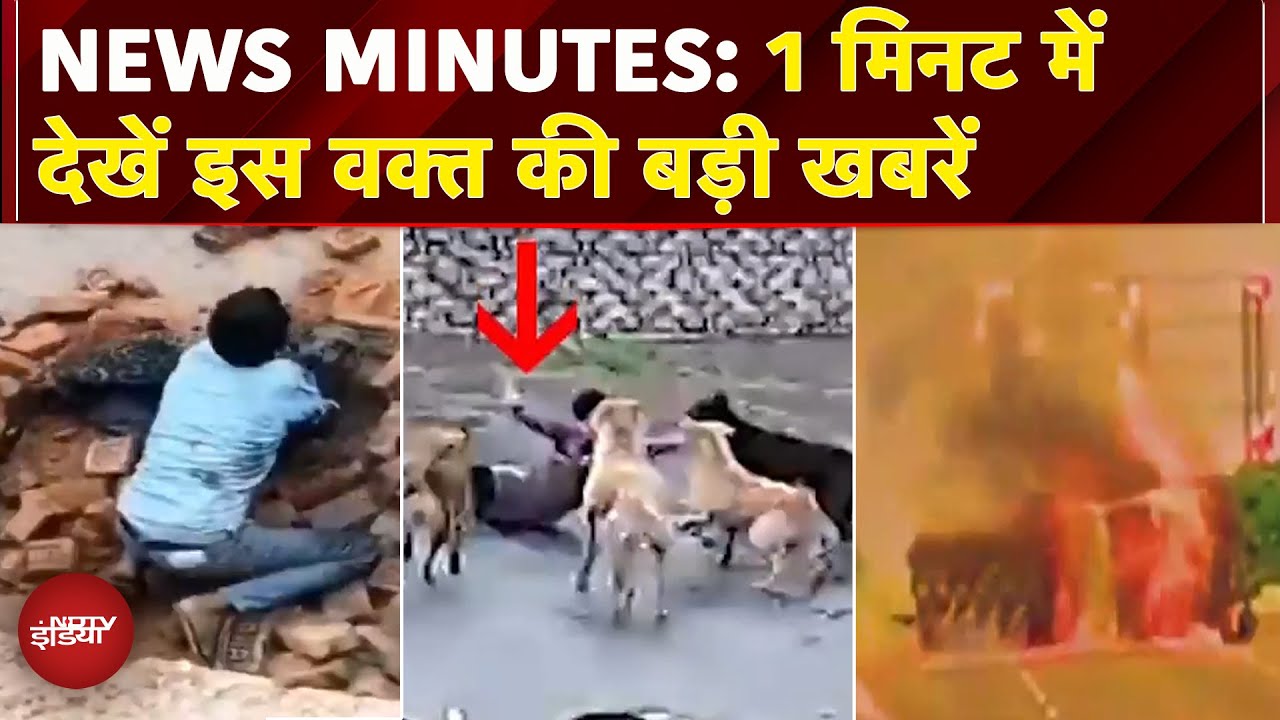 News Minute: UP में तेंदुए से भिड़ा शख्स| Udaipur में कुत्तों ने बच्चे को घेरा| Highway पर जला टैंकर