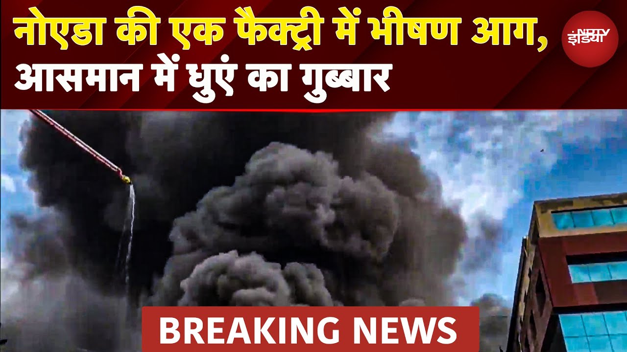 Noida में भीषण आग, Sector 2 की कंपनी में लगी आग, दमकल की टीमें मौके पर डटी | BREAKING NEWS | UP