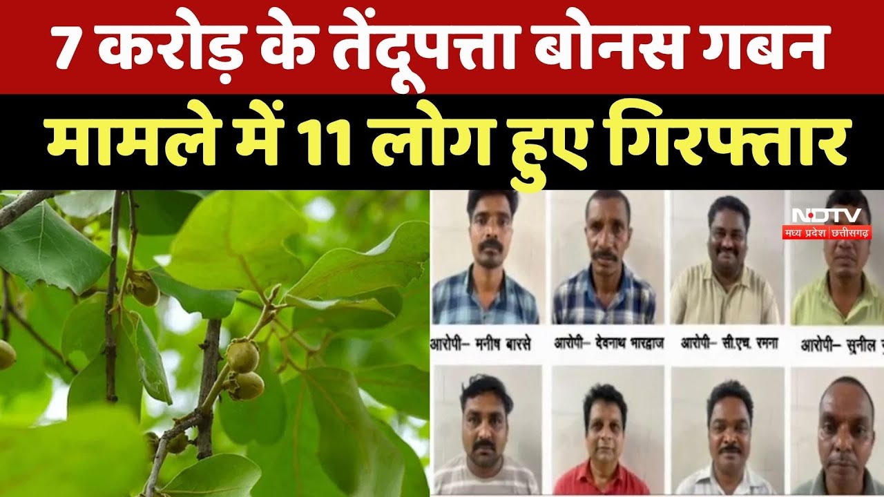 Chhattisgarh Tendu Leaves Bonus Scam: EOW की कार्रवाई, तेंदूपत्ता बोनस गबन मामले में 11 लोग गिरफ्तार