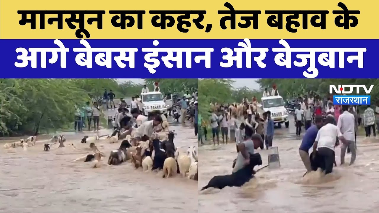 Rajasthan Monsoon: Rajasthan में Monsoon की बेरुखी बरकरार | Jalore | Latest News | Top News