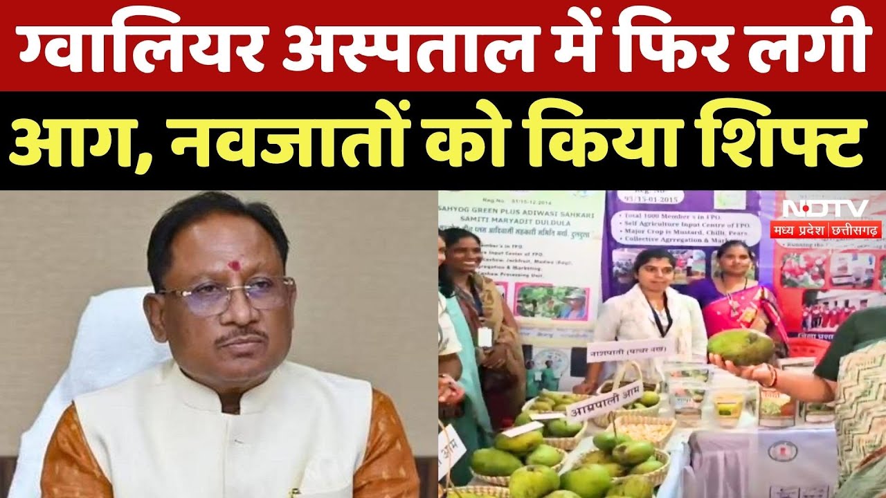 Jashpur में CM Sai की पहल, Farmers को मिली Farming से जुड़ी जानकारियां | Chhattisgarh News | MPCG