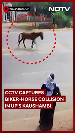 Video: Freak Accident In UP: Biker Miraculously Escapes While Horse Dies