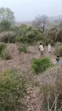 Header- MP के श्योपुर में दो युवकों ने दिखाई गजब की हिम्मत...भिड़ने के बाद भागना पड़ा तेंदुए को