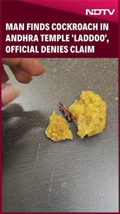 Video: Man Says He Found Cockroach In Andhra Temple 'Laddoo', Official Denies Claim