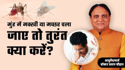 मुंह में मच्छर या मक्खी चले जाने पर क्या करें? Experts से जानें तुरंत क्या करना चाहिए? | NDTV India
