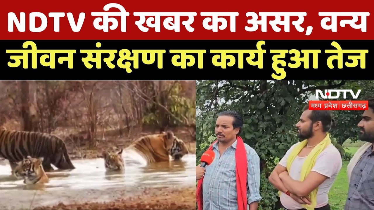 Satna News : NDTV की खबर का असर, Wild Life Conservation का कार्य हुआ तेज