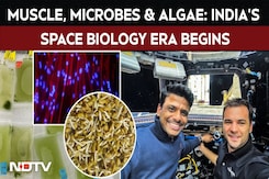 Muscle, Microbes & Algae: India's Space Biology Era Begins, Shubhanshu Shukla Takes On 7 Experiments Muscle, Microbes & Algae: India's Space Biology Era Begins, Shubhanshu Shukla Takes On 7 Experiments