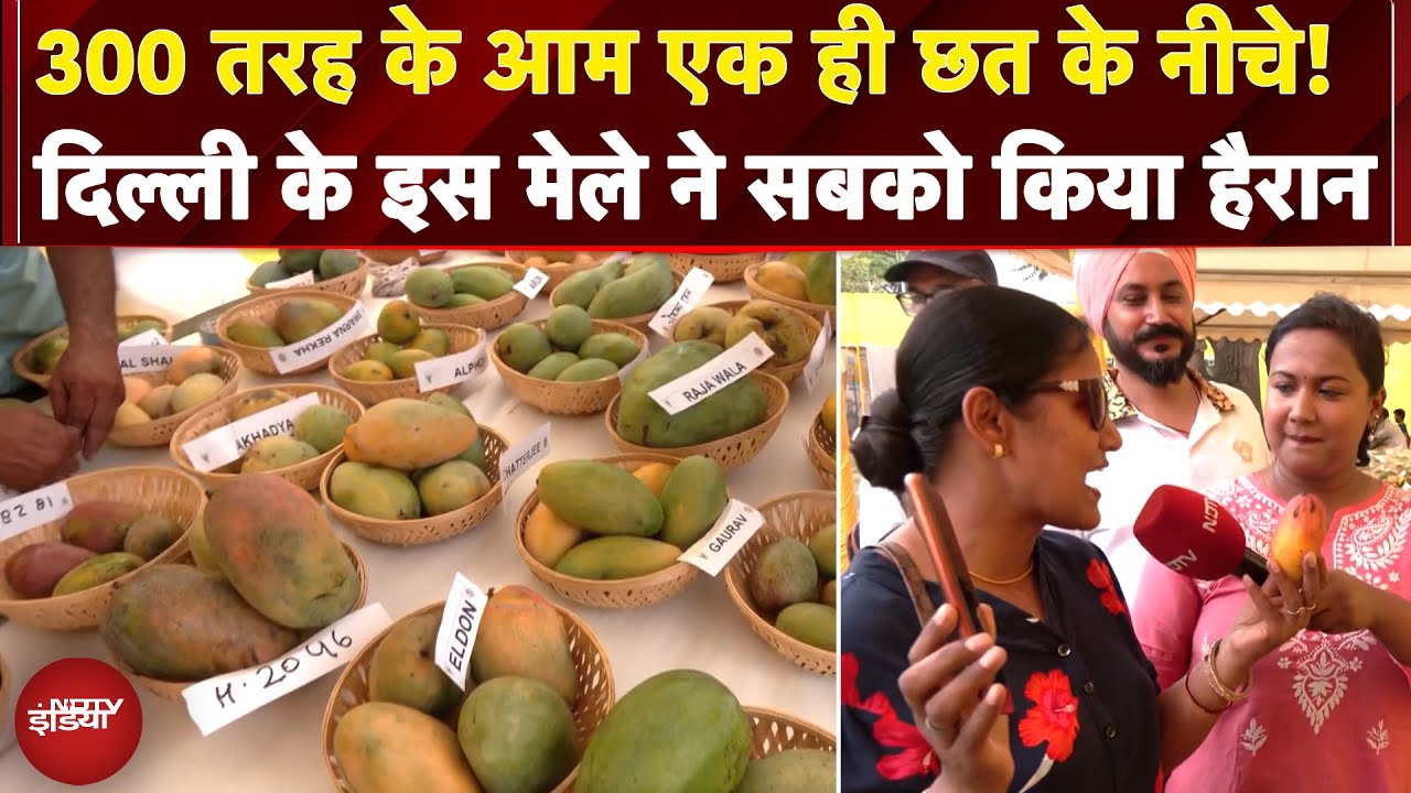 Khaas Ye Aam Festival: 300 तरह के आम एक ही छत के नीचे! Delhi के इस मेले ने सबको किया हैरान