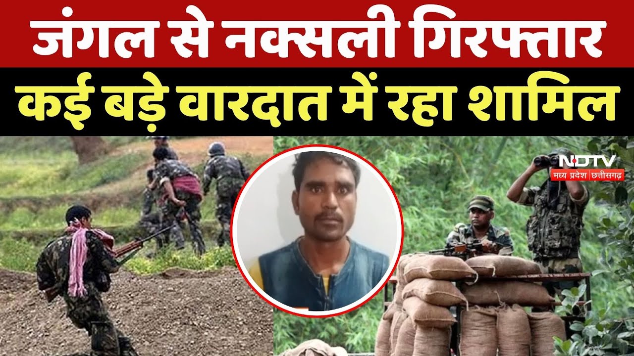 Naxali Arrested: Narayanpur के जंगलों से Naxalite गिरफ्तार, कई वारदात में रहा शामिल