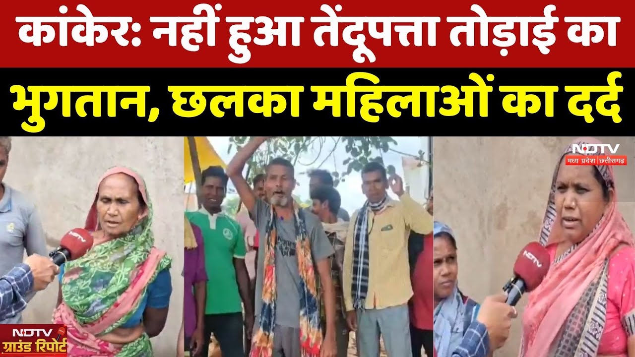 Tendupatta Beneficiary Problem: नहीं हुआ तेंदूपत्ता तोड़ाई का भुगतान, छलका महिलाओं का दर्द