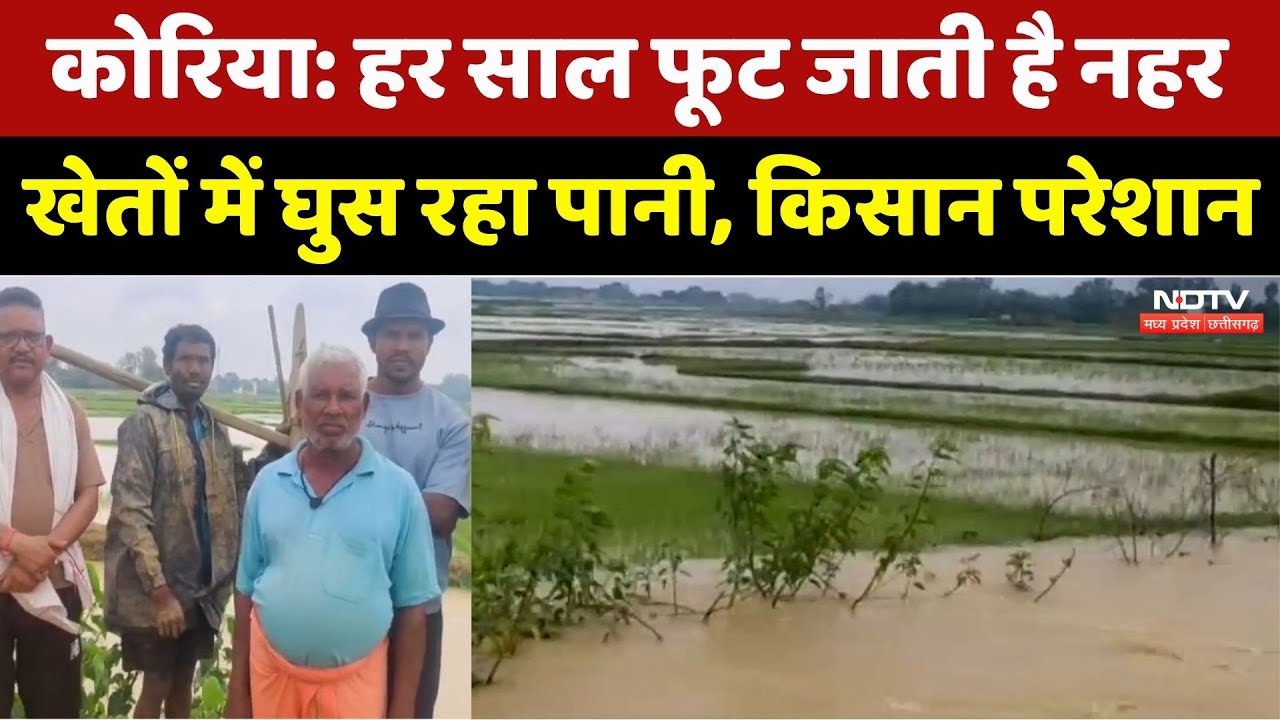 Farmers News: हर साल फूट जाती है नहर, खेतों में घुस रहा पानी, किसान परेशान