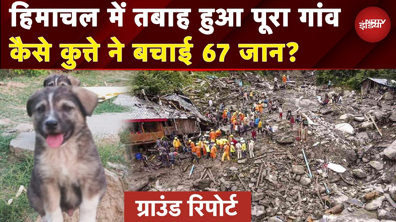Himachal Cloudburst: अचानक खिसकने लगे मकान तो नंगे पैर भागे लोग..1 कुत्ते ने बचाई 67 जान? | Monsoon