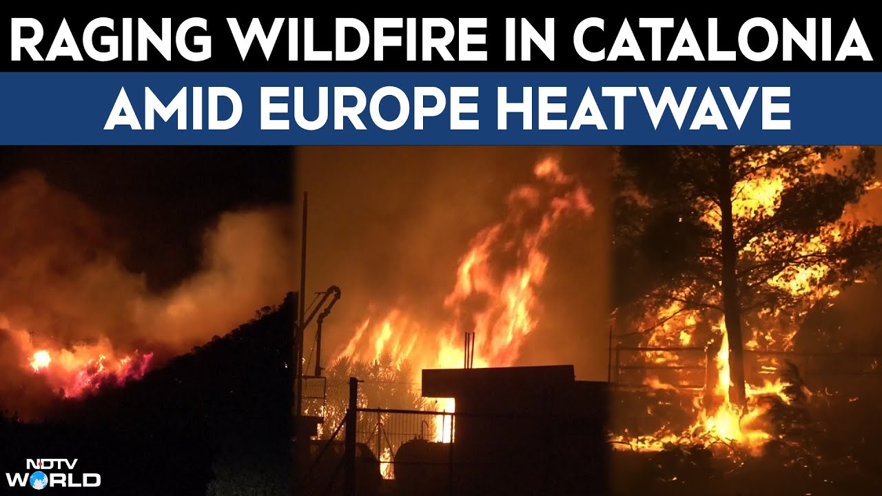 Catalonia Wildfire | Large Area Of Forestry Destroyed By Fierce Catalonia Wildfire