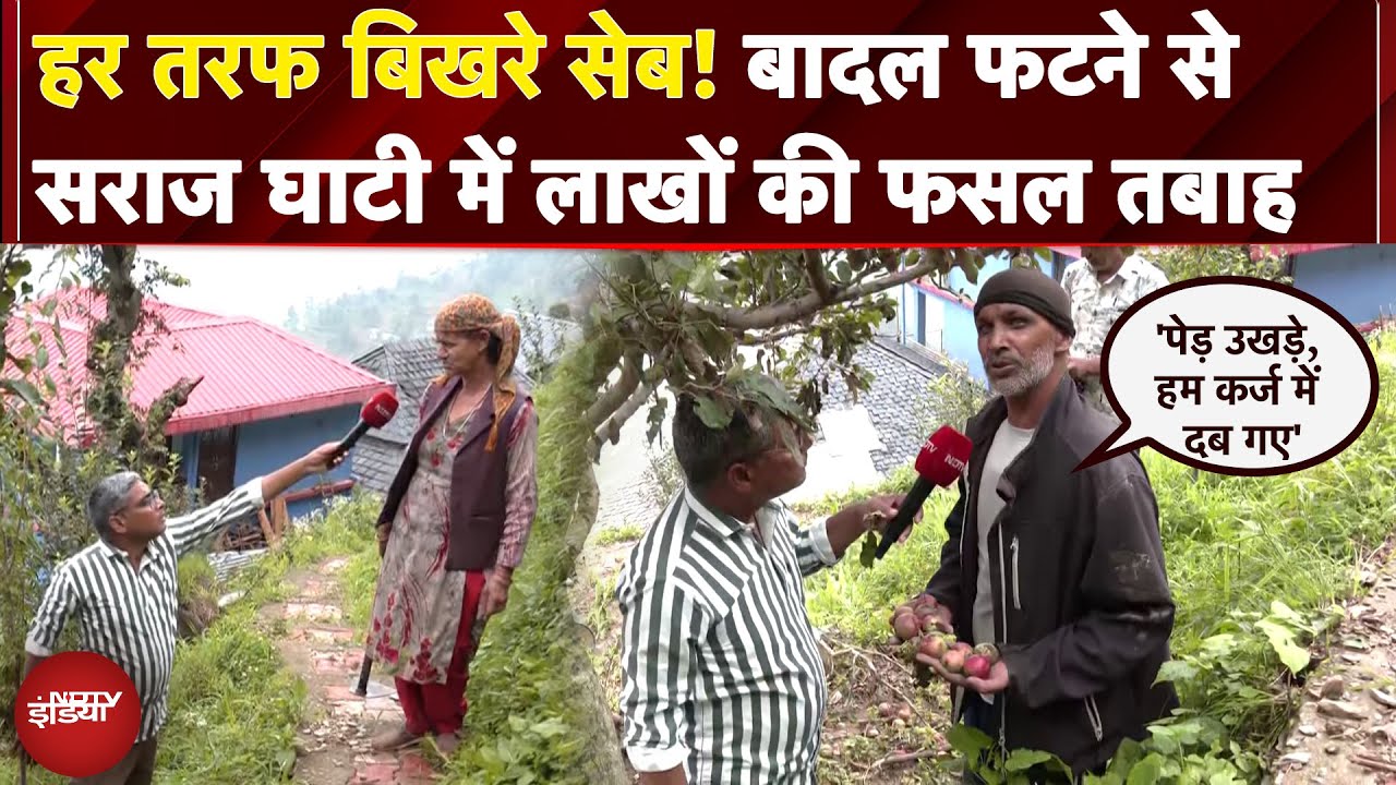 Himachal Cloudburst: सराज घाटी में सेब बागानों की तबाही, करोड़ों का नुकसान | Ground Report