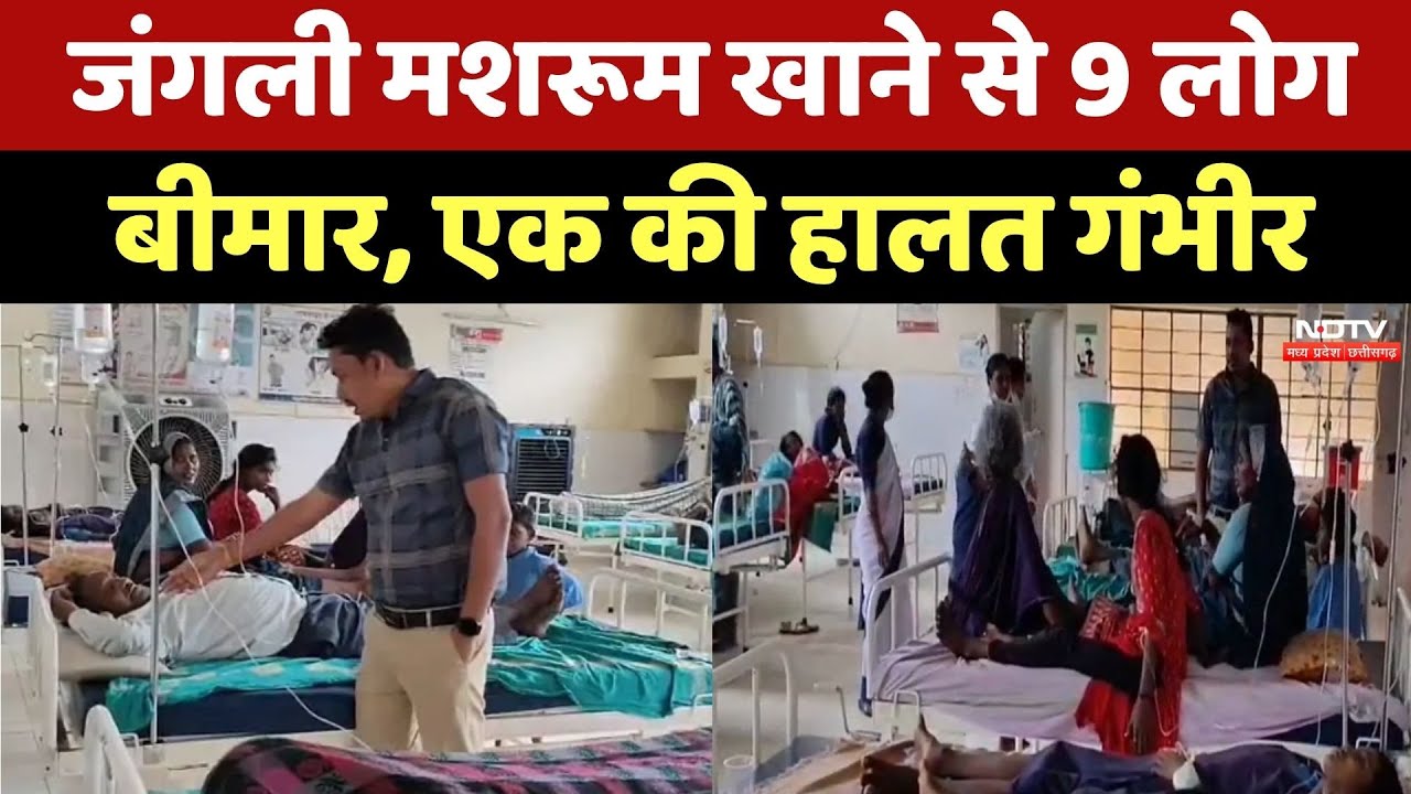 Baloda Bazar News: जंगली मशरूम खाने से 9 लोग बीमार, 1 गंभीर! Chhattisgarh Top News | Breaking