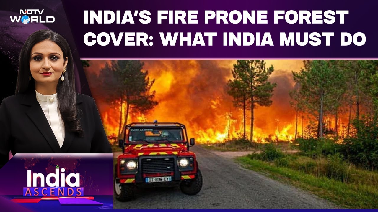 Video: Europe On Fire: What Can India Learn? | Forest Fires, Heatwaves Takeover The World