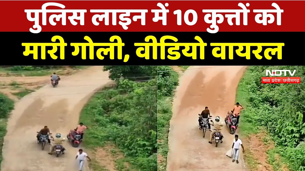 Kanker News: Street Dogs को पहले मारी गोली फिर शव को बोरे में भरकर फेंका, Video Viral | CG News Kanker News: Street Dogs को पहले मारी गोली फिर शव को बोरे में भरकर फेंका, Video Viral | CG News
