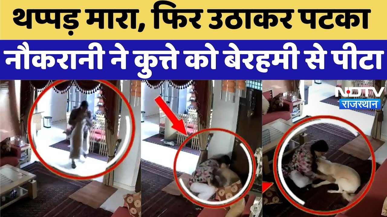 Jaipur News: नौकरानी का पालतू कुत्ते को बेरहमी से पीटने का Video Viral | Top News