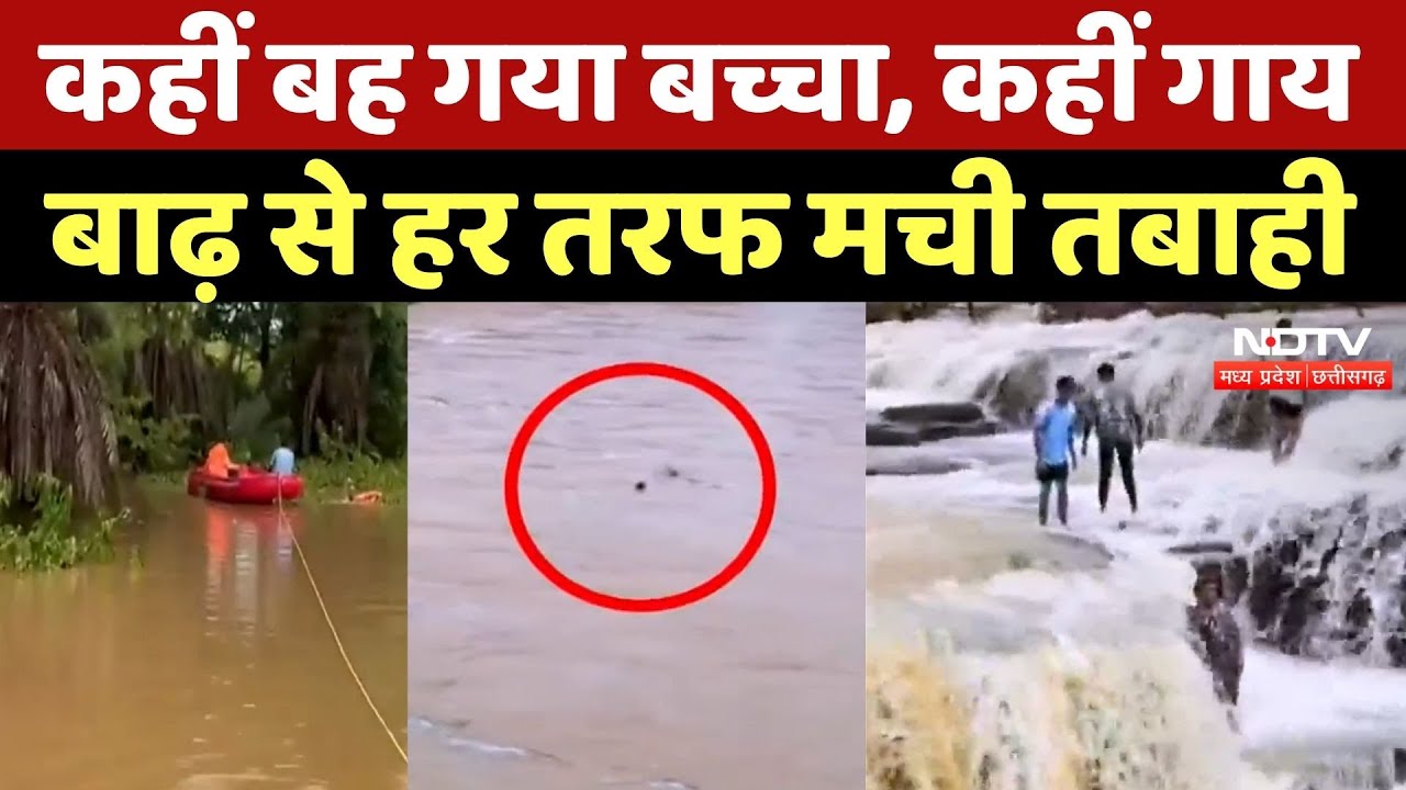 Flood News: MP-Chhattisgarh में बाढ़-बारिश से मची तबाही, रुह कंपा देगी ये मंजर! Rain Alert | Monsoon Flood News: MP-Chhattisgarh में बाढ़-बारिश से मची तबाही, रुह कंपा देगी ये मंजर! Rain Alert | Monsoon